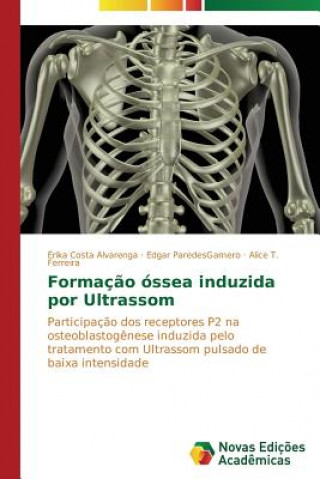 Kniha Formacao ossea induzida por Ultrassom Ferreira Alice T