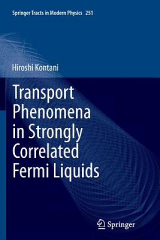 Buch Transport Phenomena in Strongly Correlated Fermi Liquids Hiroshi Kontani