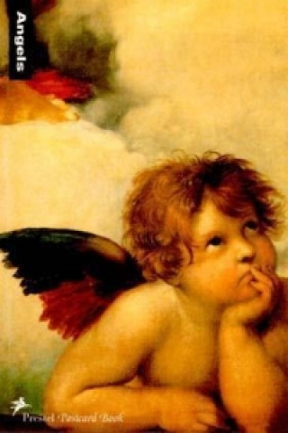 Knjiga ANGELS 