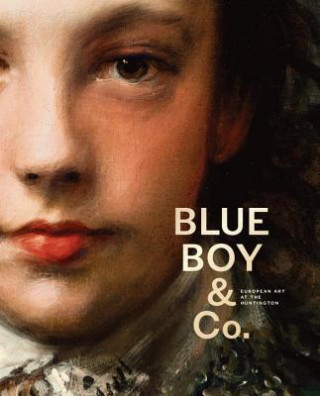 Buch Blue Boy and Company Catherine Hess