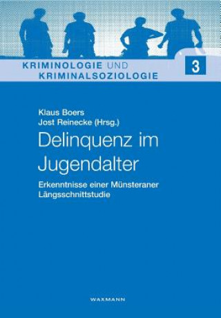 Knjiga Delinquenz im Jugendalter Klaus Boers