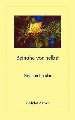 Kniha Beinahe von selbst Stephan Kessler