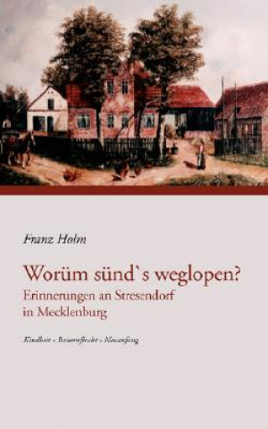 Könyv Worum sund's weglopen Franz Holm