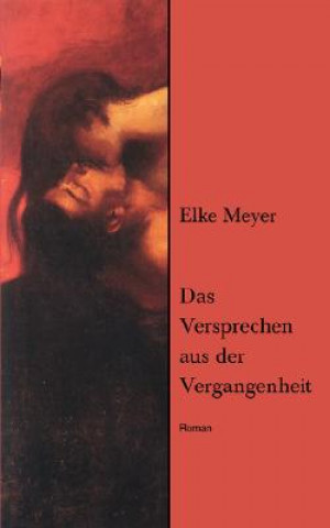 Livre Versprechen aus der Vergangenheit Elke (Wolfsburg) Meyer