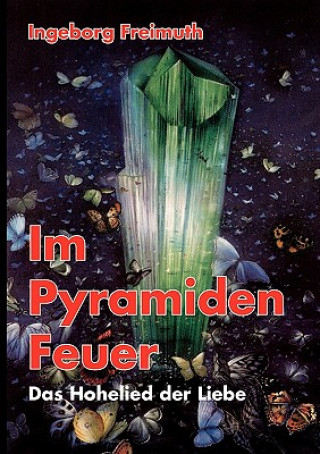 Könyv Im Pyramiden-Feuer Ingeborg Freimuth