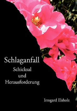 Libro Schlaganfall Irmgard Elsholz