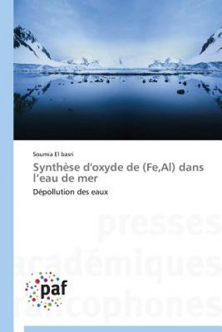 Buch Synthese d'Oxyde de (Fe, Al) Dans L Eau de Mer El Basri Soumia