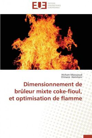 Carte Dimensionnement de Bruleur Mixte Coke-Fioul, Et Optimisation de Flamme Hammani Otmane