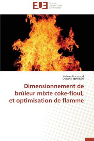 Könyv Dimensionnement de Bruleur Mixte Coke-Fioul, Et Optimisation de Flamme Hammani Otmane