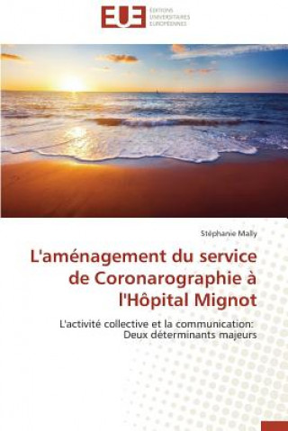 Kniha L'Amenagement Du Service de Coronarographie A l'Hopital Mignot Mally Stephanie