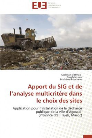 Könyv Apport Du Sig Et de L Analyse Multicrit re Dans Le Choix Des Sites Ihdachene Mohsine