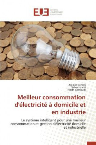 Kniha Meilleur Consommation d' lectricit    Domicile Et En Industrie Gamoudi Riadh