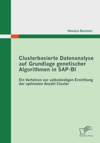 Carte Clusterbasierte Datenanalyse auf Grundlage genetischer Algorithmen in SAP-BI Huseyin Bostanci