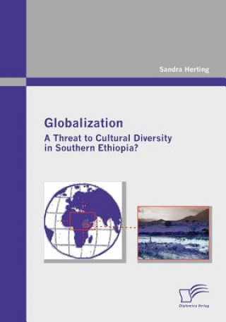 Kniha Globalization Sandra Herting