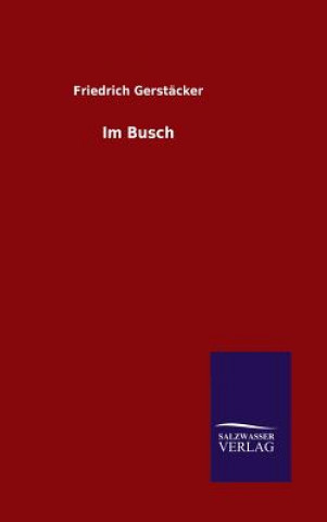 Kniha Im Busch Friedrich Gerstacker