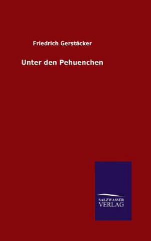 Kniha Unter den Pehuenchen Friedrich Gerstacker