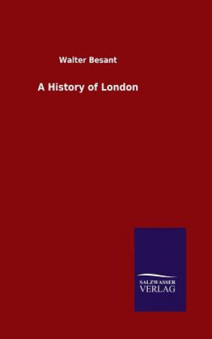 Kniha History of London Walter Besant