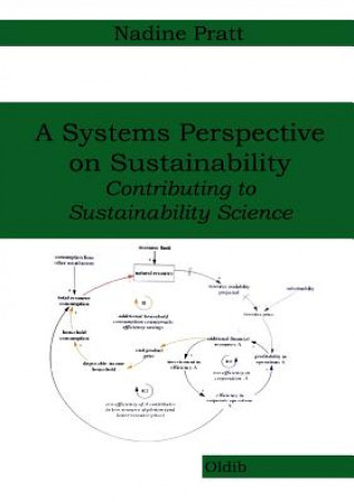 Книга Systems Perspective on Sustainability Nadine Pratt