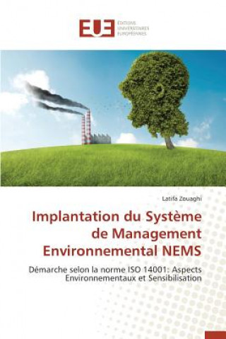 Carte Implantation Du Syst me de Management Environnemental Nems Zouaghi Latifa