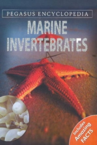 Книга Marine Invertebrates Pegasus