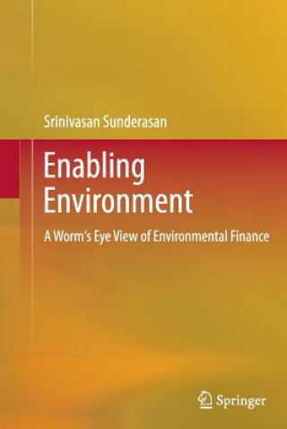 Knjiga Enabling Environment Srinivasan Sunderasan