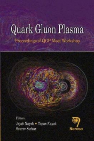 Kniha Quark Gluon Plasma 