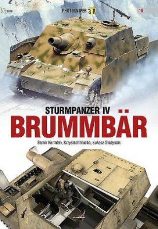 Book Sturmpanzer Iv BrummbaR Lukasz Gladysiak