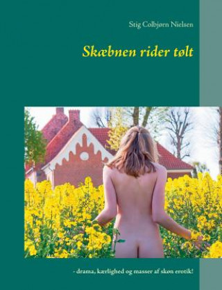 Könyv Skaebnen rider tolt Stig Colbjorn Nielsen