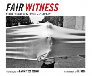Könyv Fair Witness David Lykes Keenan
