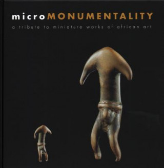 Könyv Micro Monumentality Berenice Geoffrey-Schnei
