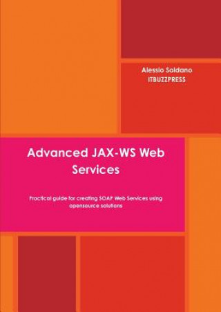 Könyv Advanced JAX-WS Web Services Alessio Soldano