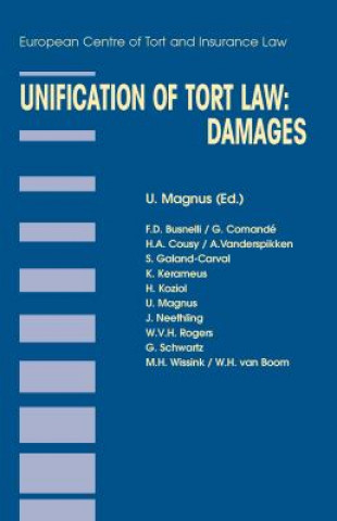 Könyv Unification of Tort Law: Damages Ulrich Magnus