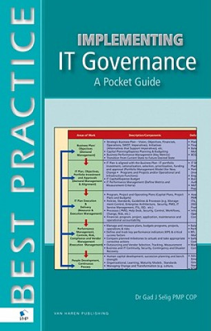 Knjiga Implementing IT Governance Gad J. Selig