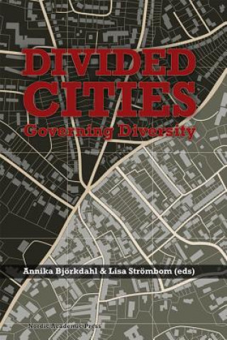 Kniha Divided Cities 