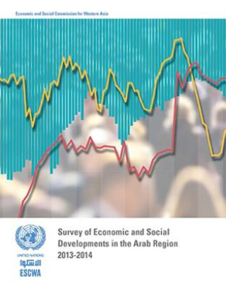 Kniha Survey of economic and social developments in the Arab region 2013-2014 United Nations: Economic and Social Commission for Western Asia