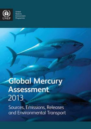 Carte Global mercury assessment 2013 United Nations Environment Programme
