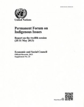 Buch Permanent Forum on Indigenous Issues United Nations: Economic and Social Council