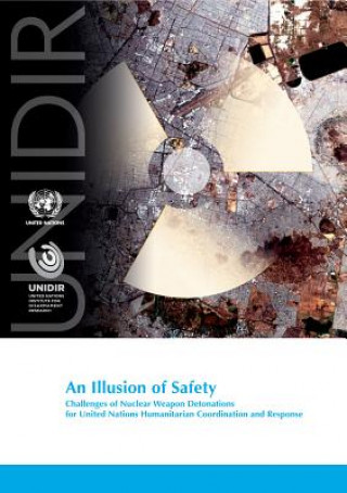 Könyv illusion of safety United Nations Institute for Disarmament Research