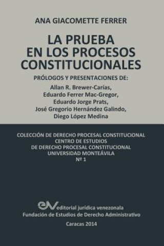 Libro Pruebas En Los Procesos Constitucionales Ana Giacomette Ferrer