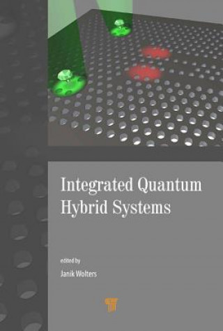 Könyv Integrated Quantum Hybrid Systems JANIK WOLTERS