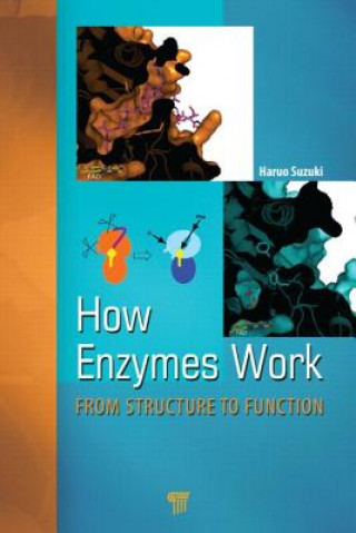 Könyv How Enzymes Work Suzuki