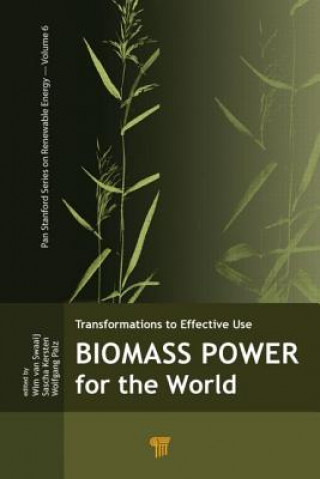 Könyv Biomass Power for the World 