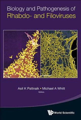 Book Biology And Pathogenesis Of Rhabdo- And Filoviruses Asit K Pattnaik