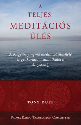 Книга Teljes Meditacios Ules Tony Duff