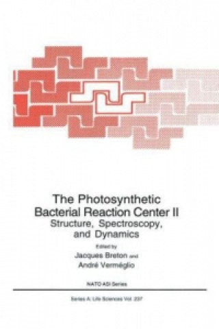 Könyv Photosynthetic Bacterial Reaction Center II Jacques Breton