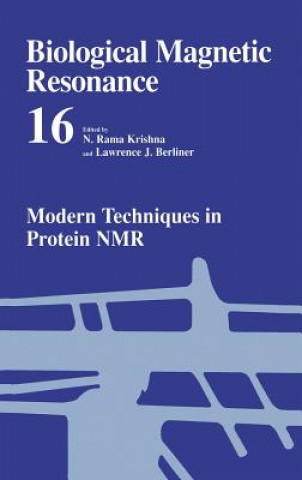 Kniha Modern Techniques in Protein NMR N. Rama Krishna