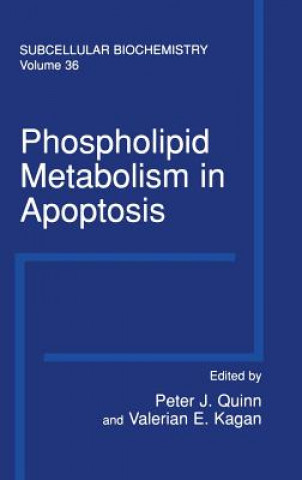 Knjiga Phospholipid Metabolism in Apoptosis Peter J. Quinn