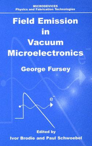 Buch Microdevices George N. Fursey