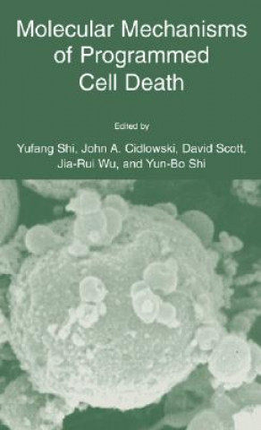 Kniha Molecular Mechanisms of Programmed Cell Death Yufang Shi