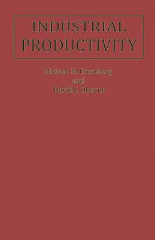 Kniha Industrial Productivity M.M. Gruneberg